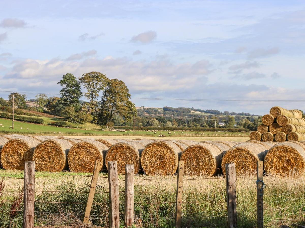 Bonjedward Mill Farm Cottage, Jedburgh Exterior foto